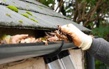 gutter cleaning Newton Rigg, Cumbria